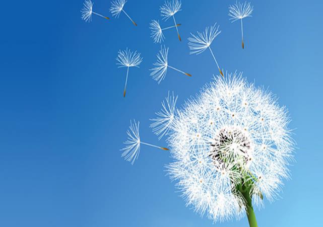 幼兒園、中小學(xué)等教育培訓(xùn)機(jī)構(gòu)安裝單向流新風(fēng)系統(tǒng)方案